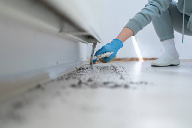 Pest Prevention Services in Ashland, KY